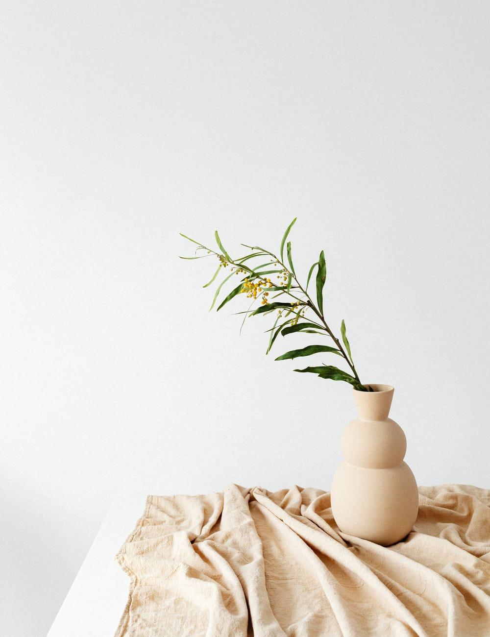 A ceramic vase with a green stem on draped linen in daylight